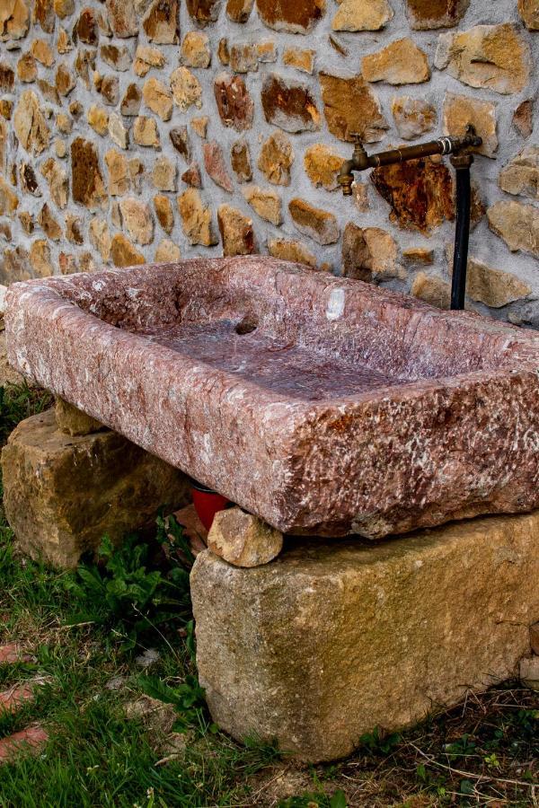 Laga Surf Villa By Urdaibai Rentals Ibarrangelu Εξωτερικό φωτογραφία